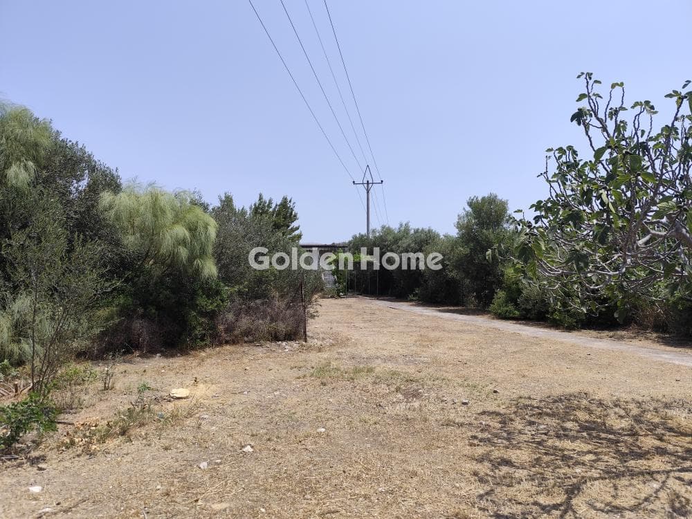 Building Plot in Kalivia, Kalivia Thorikou — Photo 3 of 5