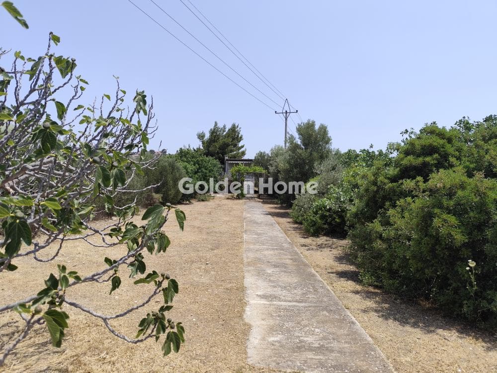 Building Plot in Kalivia, Kalivia Thorikou — Photo 4 of 5
