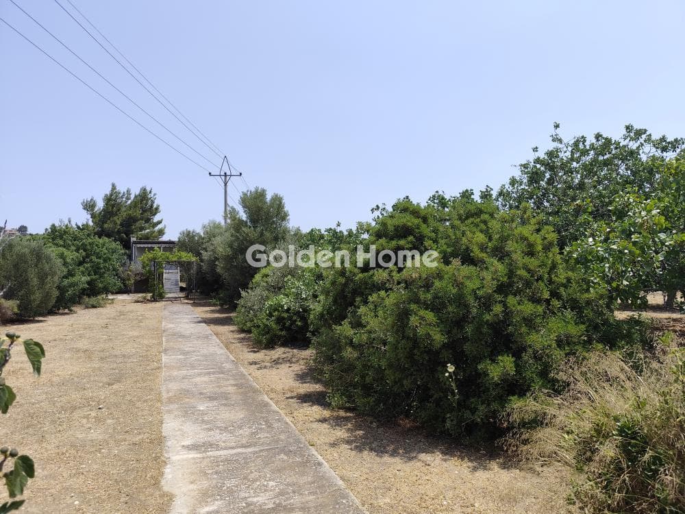 Building Plot in Kalivia, Kalivia Thorikou — Photo 5 of 5