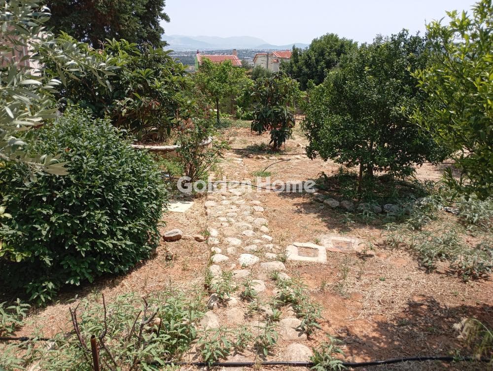 Μονοκατοικία στην Πανόραμα, Πικέρμι — Φωτογραφία 94 από 100