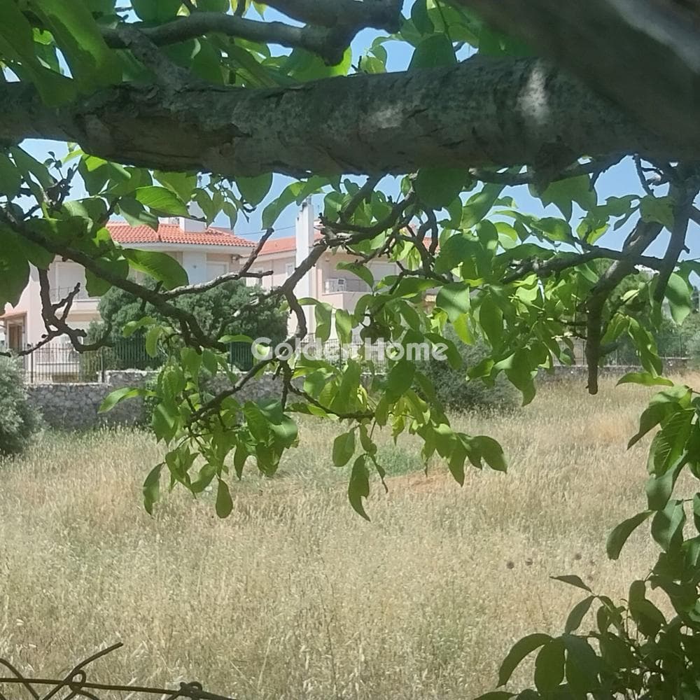 Building Plot in Center, Pikermi — Photo 4 of 4