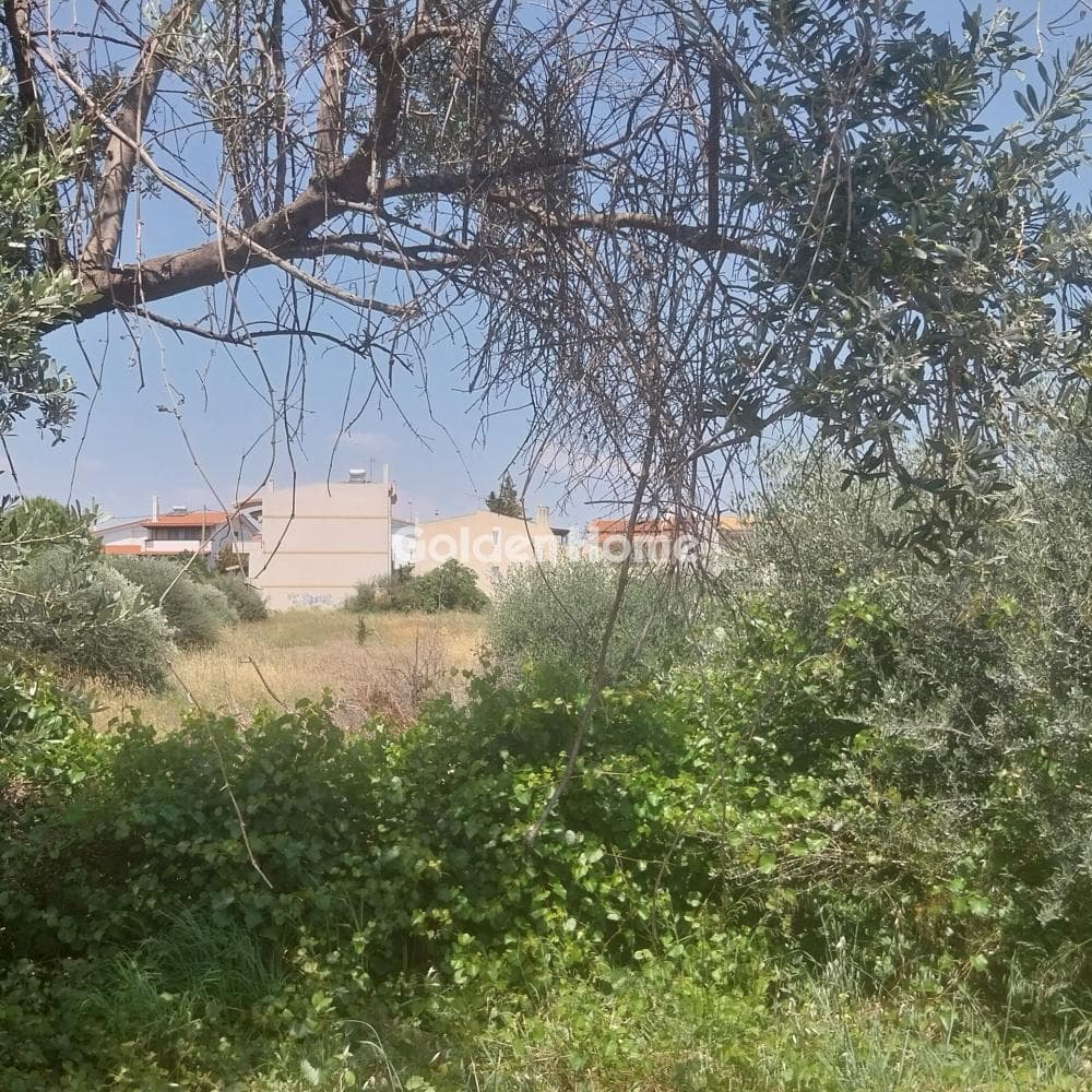 Building Plot in Center, Pikermi — Photo 1 of 4