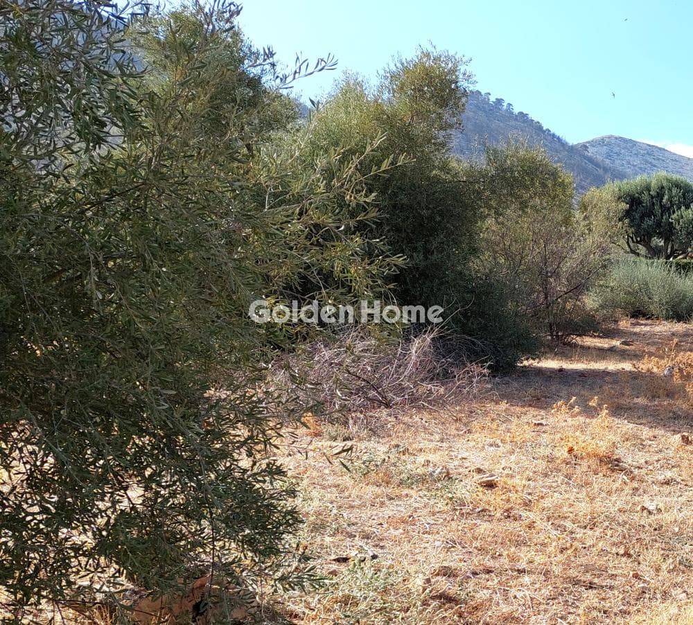 Οικόπεδο στην Άγιος Ανδρέας, Νέα Μάκρη — Φωτογραφία 1 από 2