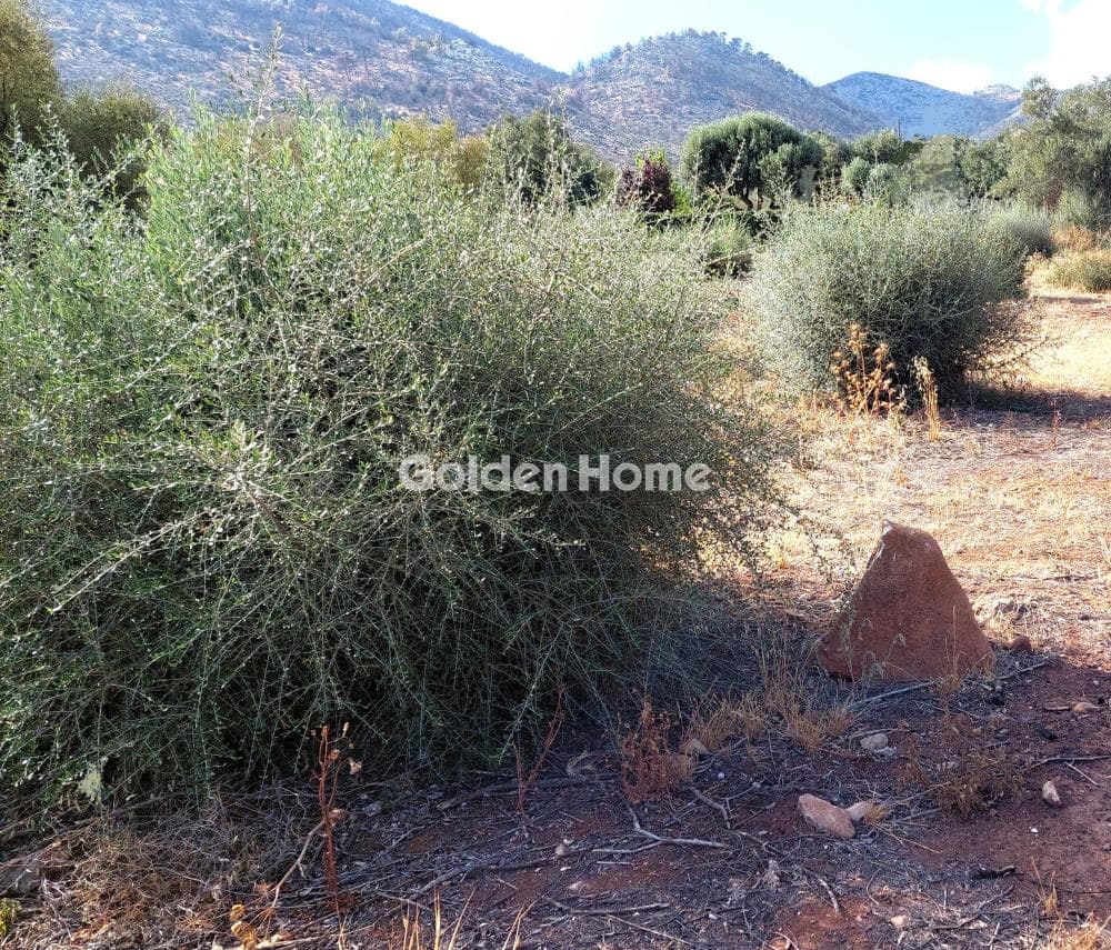 Οικόπεδο στην Άγιος Ανδρέας, Νέα Μάκρη — Φωτογραφία 2 από 2
