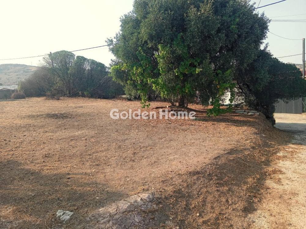 Οικόπεδο στην Άνω Θορικό, Λαύριο — Φωτογραφία 2 από 8