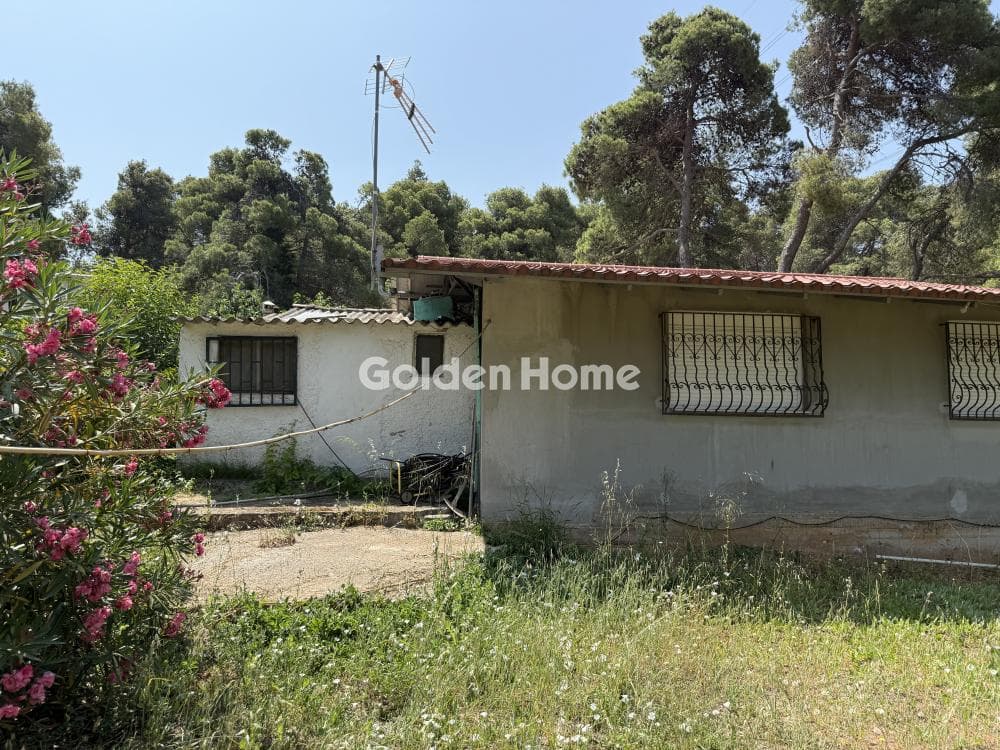 House in Fasideri, Anoixi — Photo 13 of 18