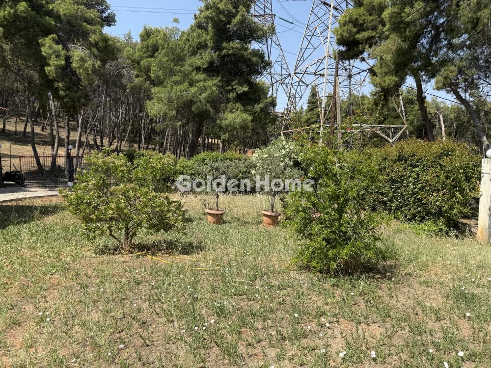 House in Fasideri, Anoixi — Photo 14 of 18