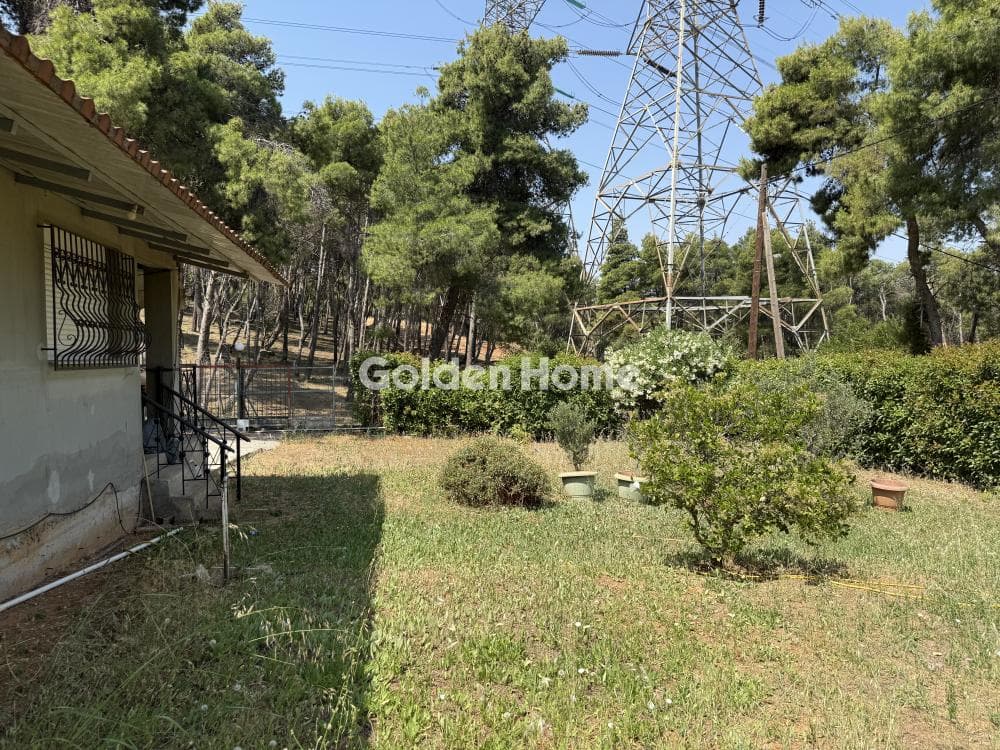 House in Fasideri, Anoixi — Photo 15 of 18