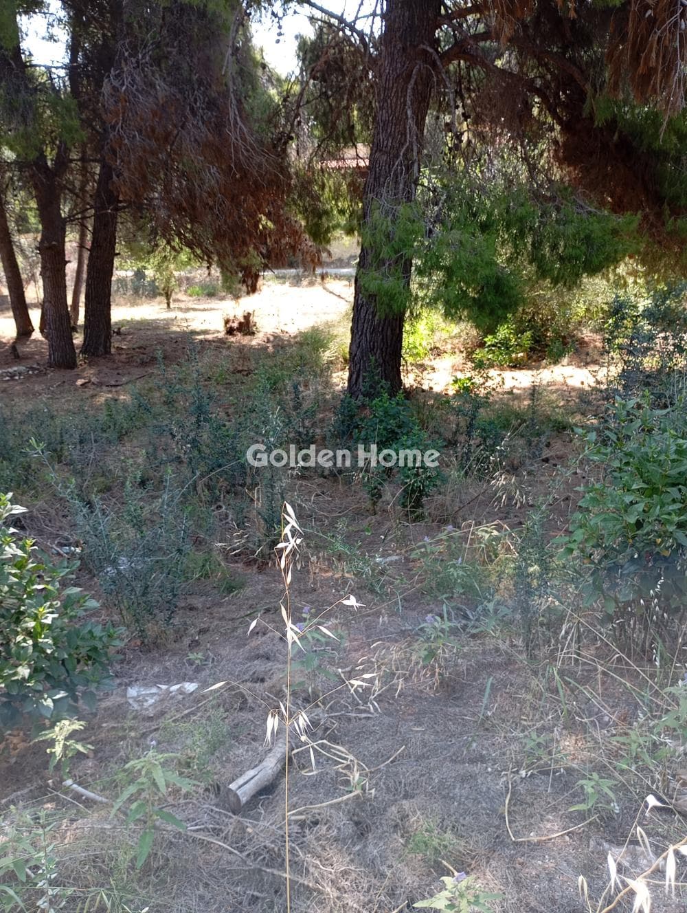 Οικόπεδο στην Νέο Λιβύσσι, Νέα Μάκρη