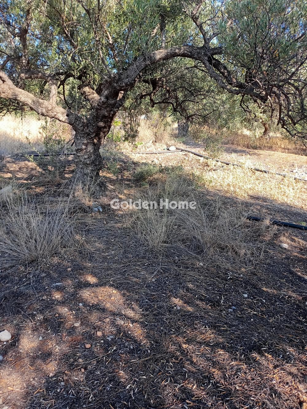 Building Plot in Center, Mallia — Photo 1 of 6