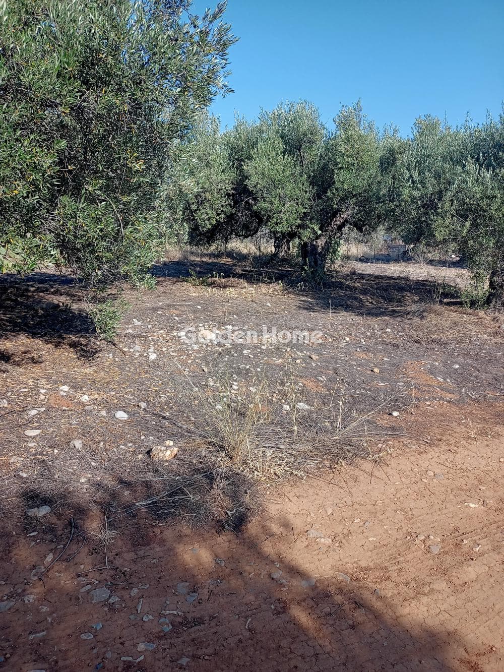 Building Plot in Center, Mallia — Photo 3 of 6