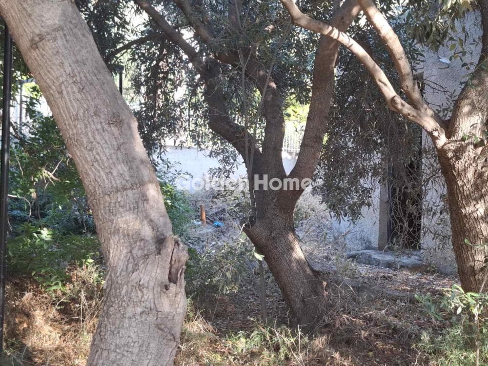 Building Plot in Agios Athanasios, Salamina — Photo 4 of 9