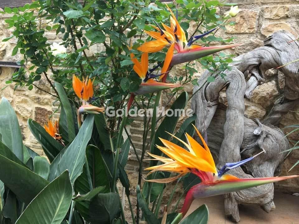 Μονοκατοικία στην Νέο Λιβύσσι, Νέα Μάκρη — Φωτογραφία 26 από 37