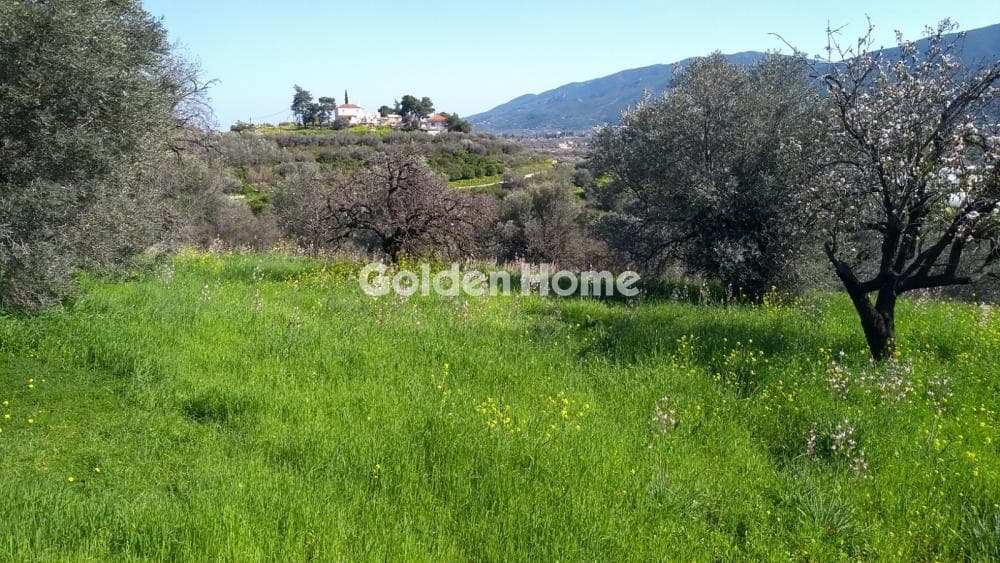 House in Center, Poros — Photo 19 of 20
