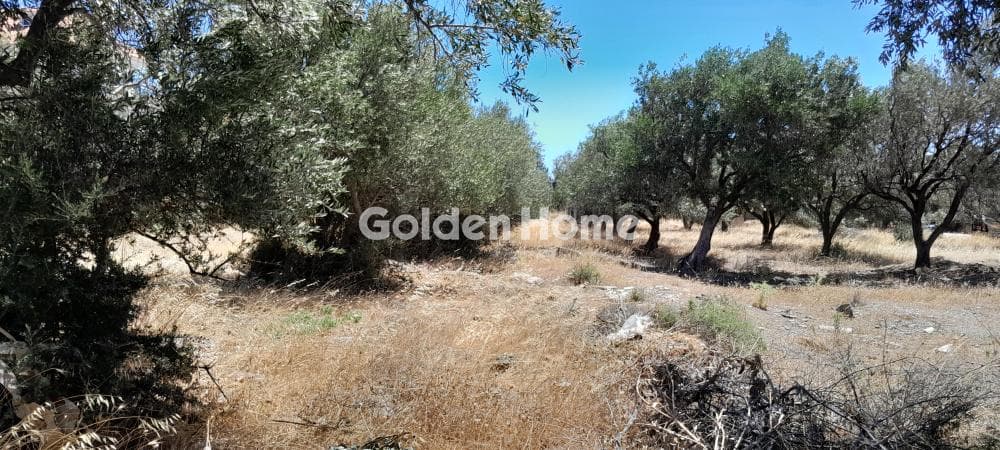 Αγροτεμάχιο στην Μεγάλα Σχοινία Α, Αχαρνές — Φωτογραφία 4 από 6