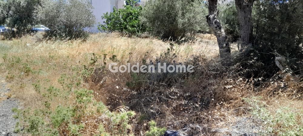 Αγροτεμάχιο στην Μεγάλα Σχοινία Α, Αχαρνές — Φωτογραφία 6 από 6