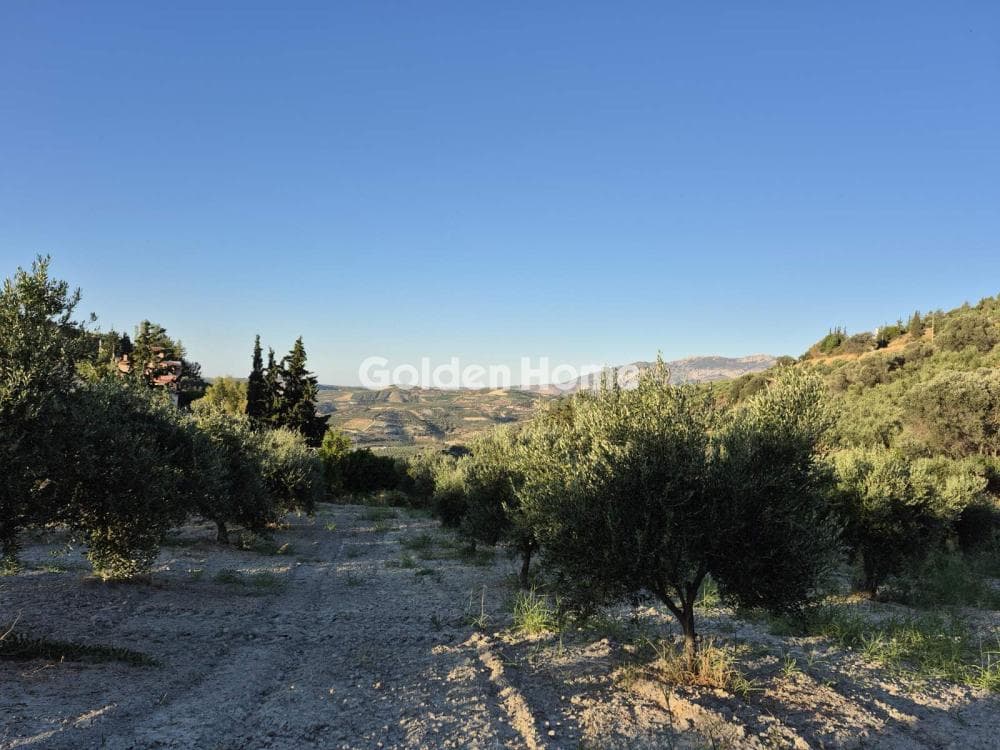 Οικόπεδο στην Δαφνές, Τετραχώρι — Φωτογραφία 8 από 17