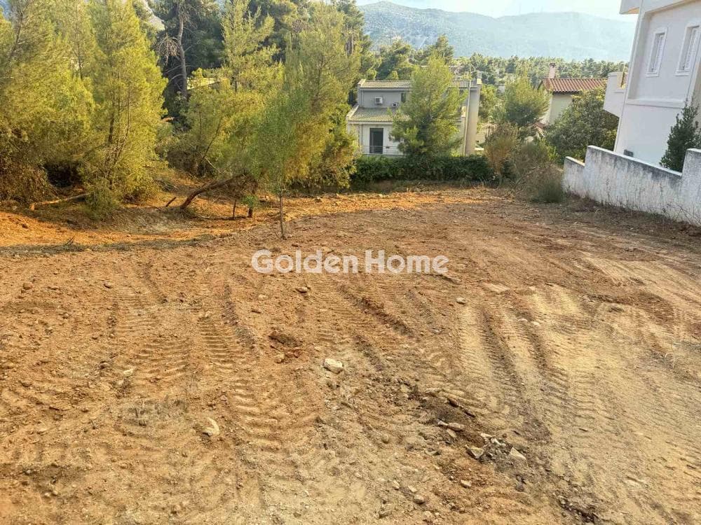 Building Plot in Rodopoli, Rodopoli
