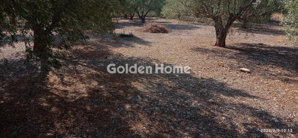 Building Plot in Agia Marina, Koropi — Photo 3 of 4