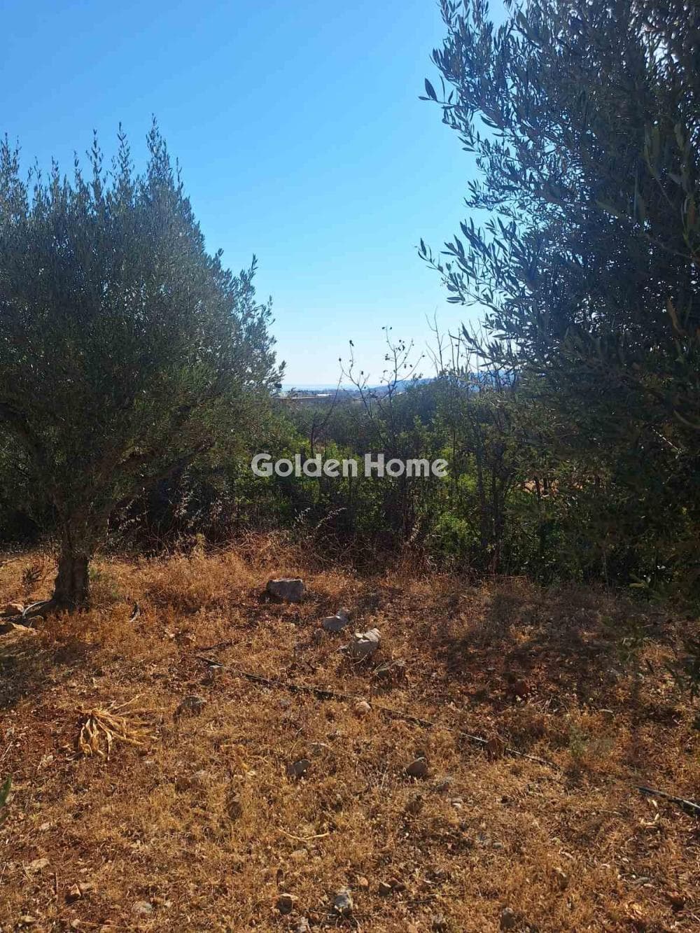 Building Plot in Center, Mallia — Photo 2 of 17