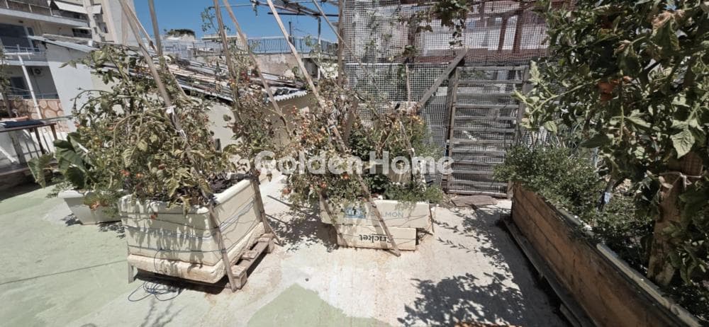 Apartment in Dafni, Dafni — Photo 8 of 16