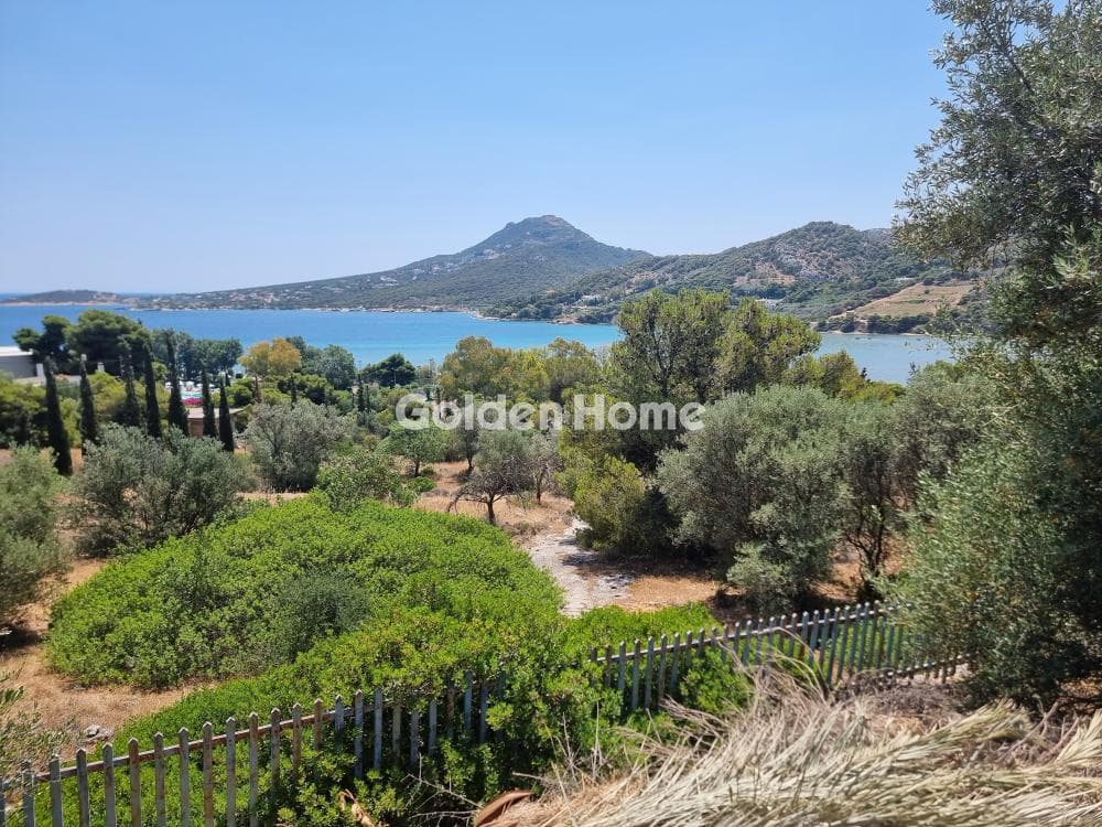 Αγροτεμάχιο στην Βορινέζα, Αρτέμιδα (Λούτσα)
