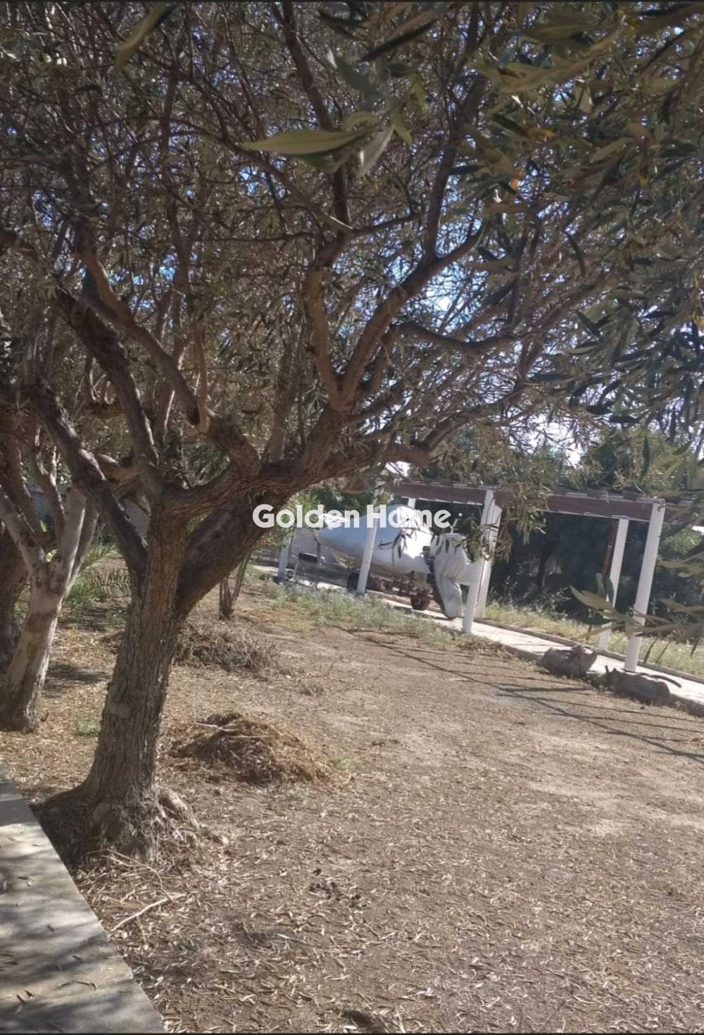 Οικόπεδο στην Αλυκές - Λάκκα, Ανάβυσσος — Φωτογραφία 1 από 2