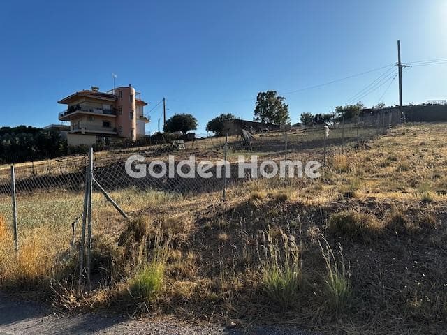 Αγροτεμάχιο στην Χέρωμα, Βάρη - Βάρκιζα — Φωτογραφία 3 από 3