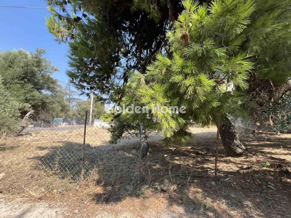 Οικόπεδο στην Κεφαλάρι, Κηφισιά — Φωτογραφία 4 από 4
