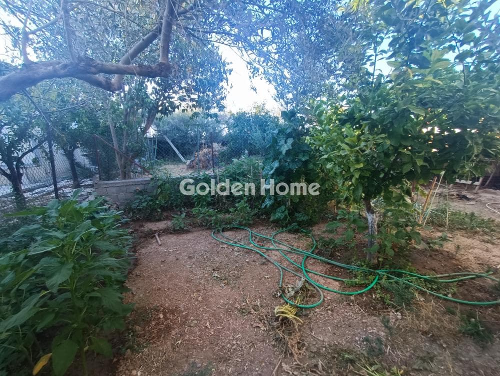 Μονοκατοικία στην Διμηνιό, Σικυώνα — Φωτογραφία 5 από 15