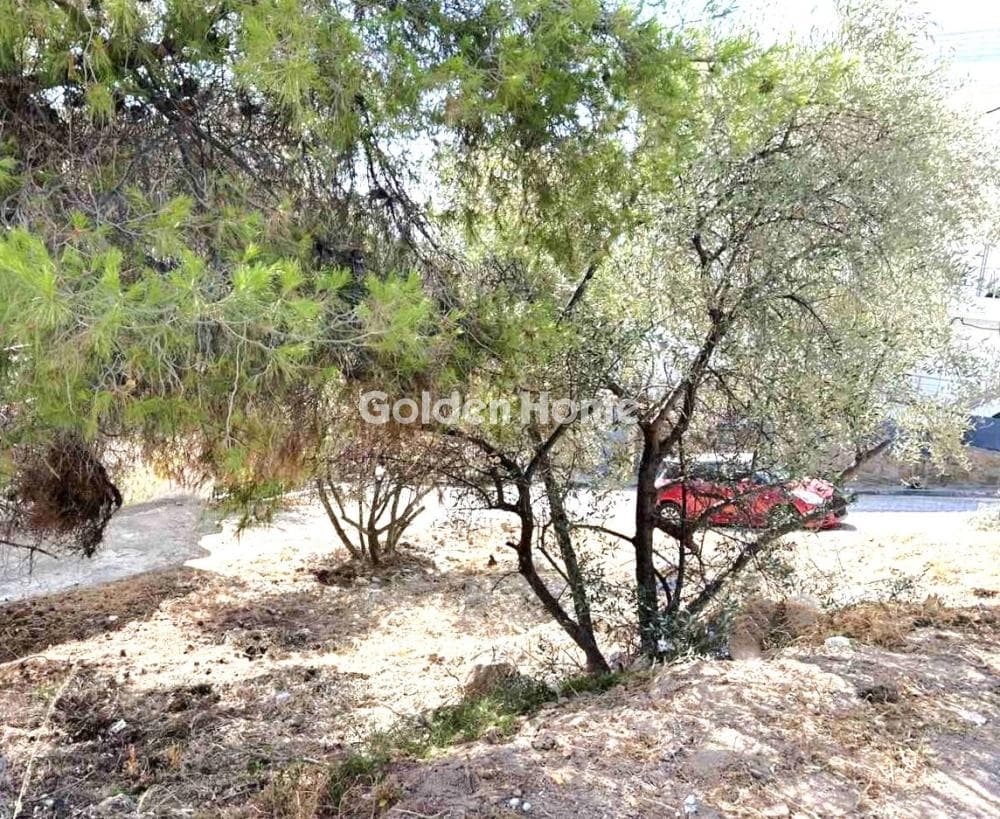 Οικόπεδο στην Πεύκα Βέρδη, Πετρούπολη — Φωτογραφία 4 από 4