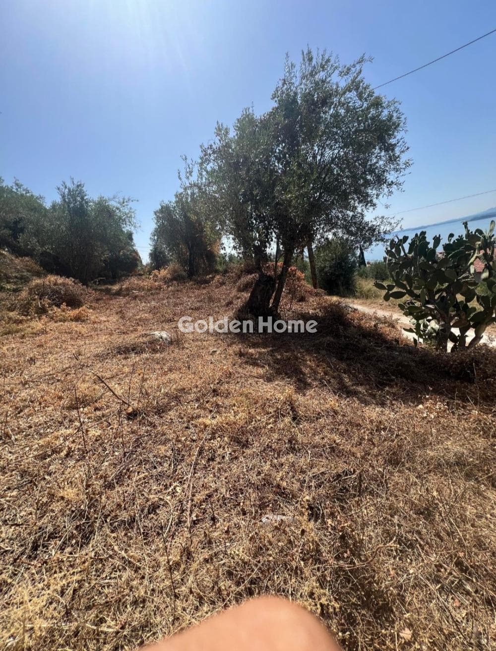 Αγροτεμάχιο στην Φαίακες, Κέρκυρα — Φωτογραφία 2 από 3