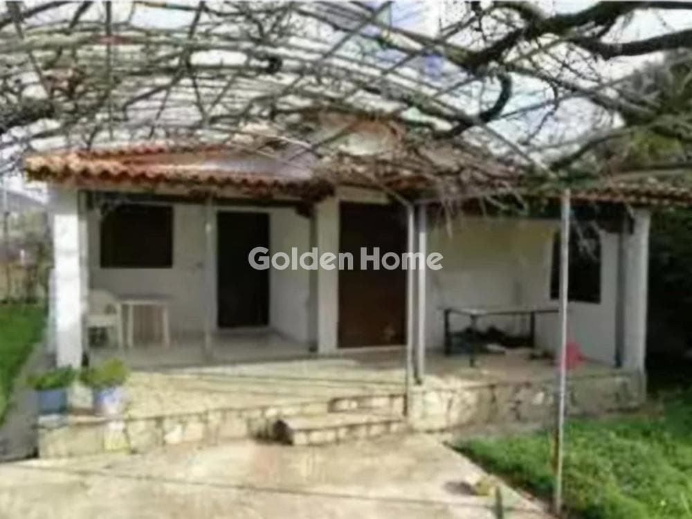 Αγροτεμάχιο στην Άνω Σούλι, Γραμματικό — Φωτογραφία 2 από 4