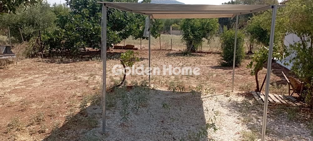 Αγροτεμάχιο στην Άνω Σούλι, Γραμματικό — Φωτογραφία 1 από 4