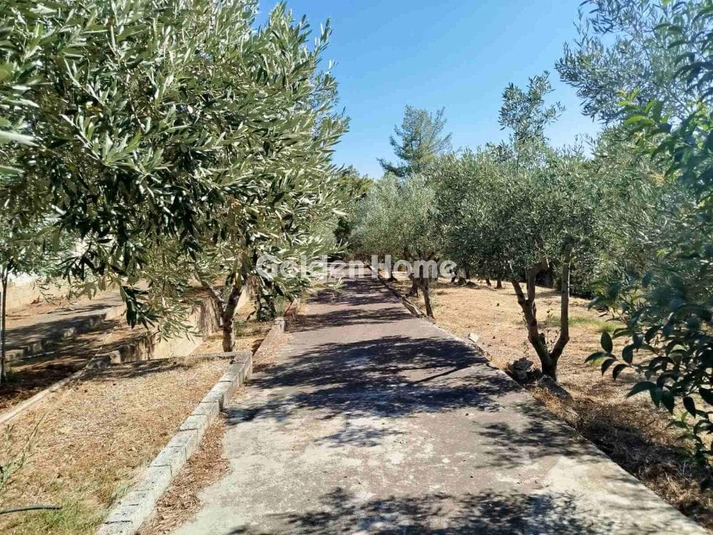 Μονοκατοικία στην Κέντρο, Μεταμόρφωση — Φωτογραφία 29 από 35
