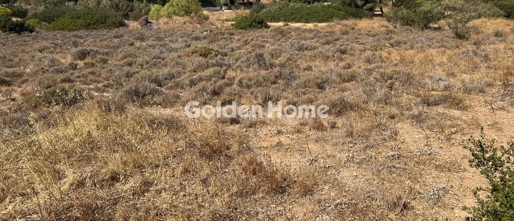 Building Plot in Chamolia, Vravrona