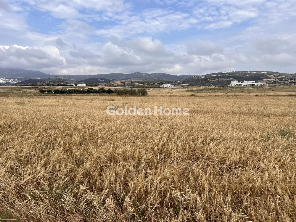 Parcel in Glifades, Paros — Photo 3 of 5