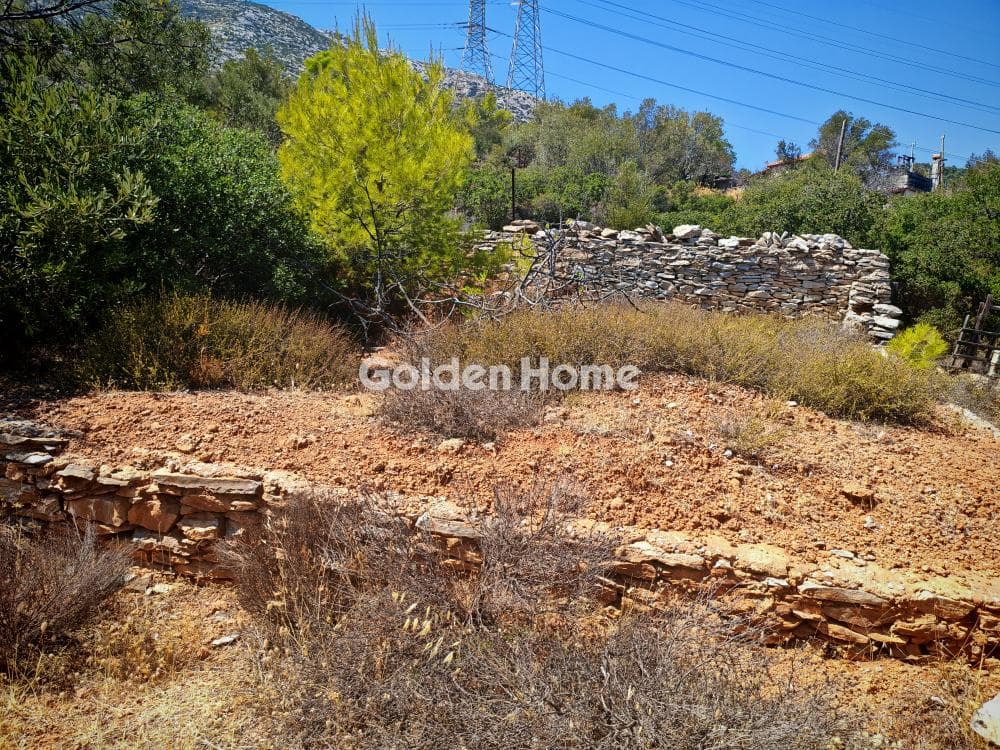 Αγροτεμάχιο στην Μουσείο Βορρέ, Παιανία — Φωτογραφία 3 από 4