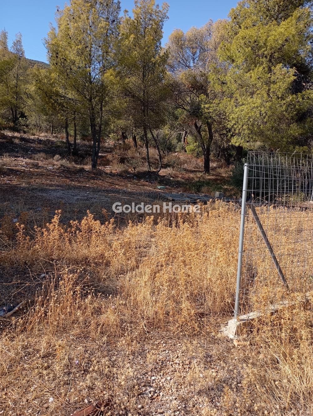 Building Plot in Porto Rafti, Vravrona — Photo 1 of 2