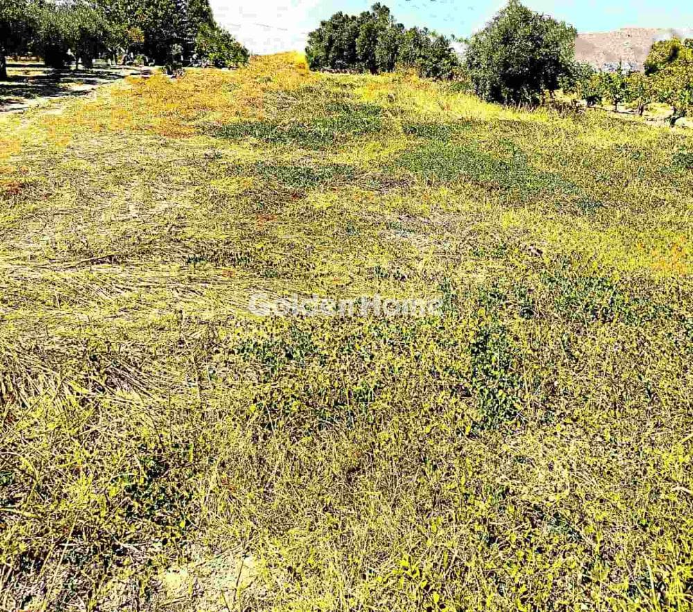 Building Plot in Kollivas, Gazi — Photo 4 of 11