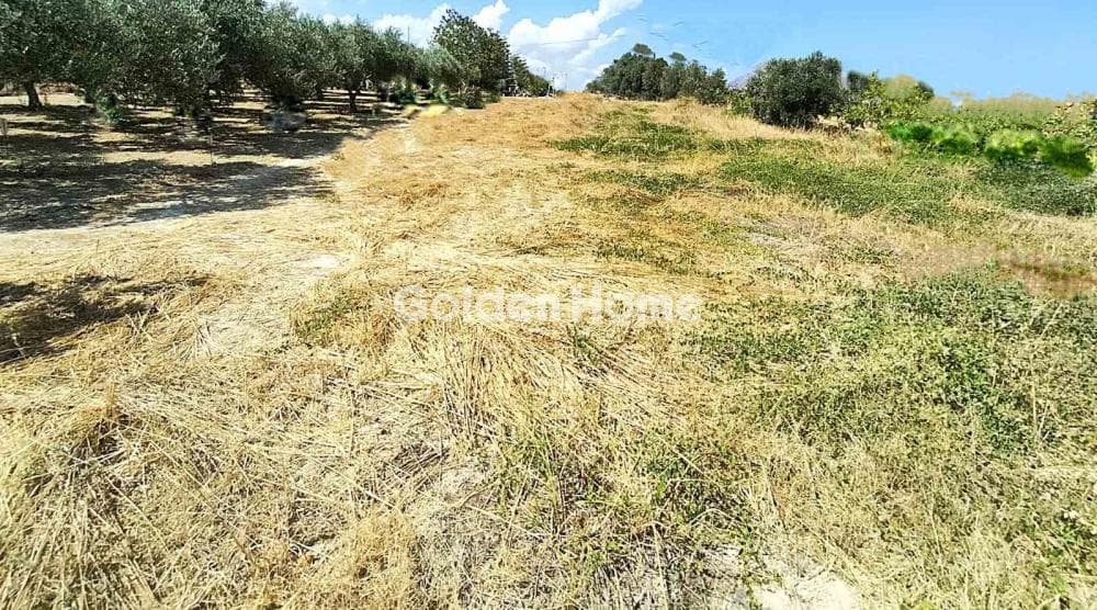 Building Plot in Kollivas, Gazi — Photo 6 of 11