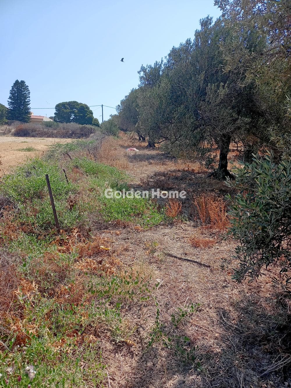 Building Plot in Klima, Timpaki — Photo 3 of 3