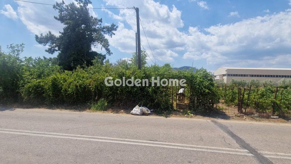 Αγροτεμάχιο στην Κοσμοθέα, Αφίδνες — Φωτογραφία 1 από 2