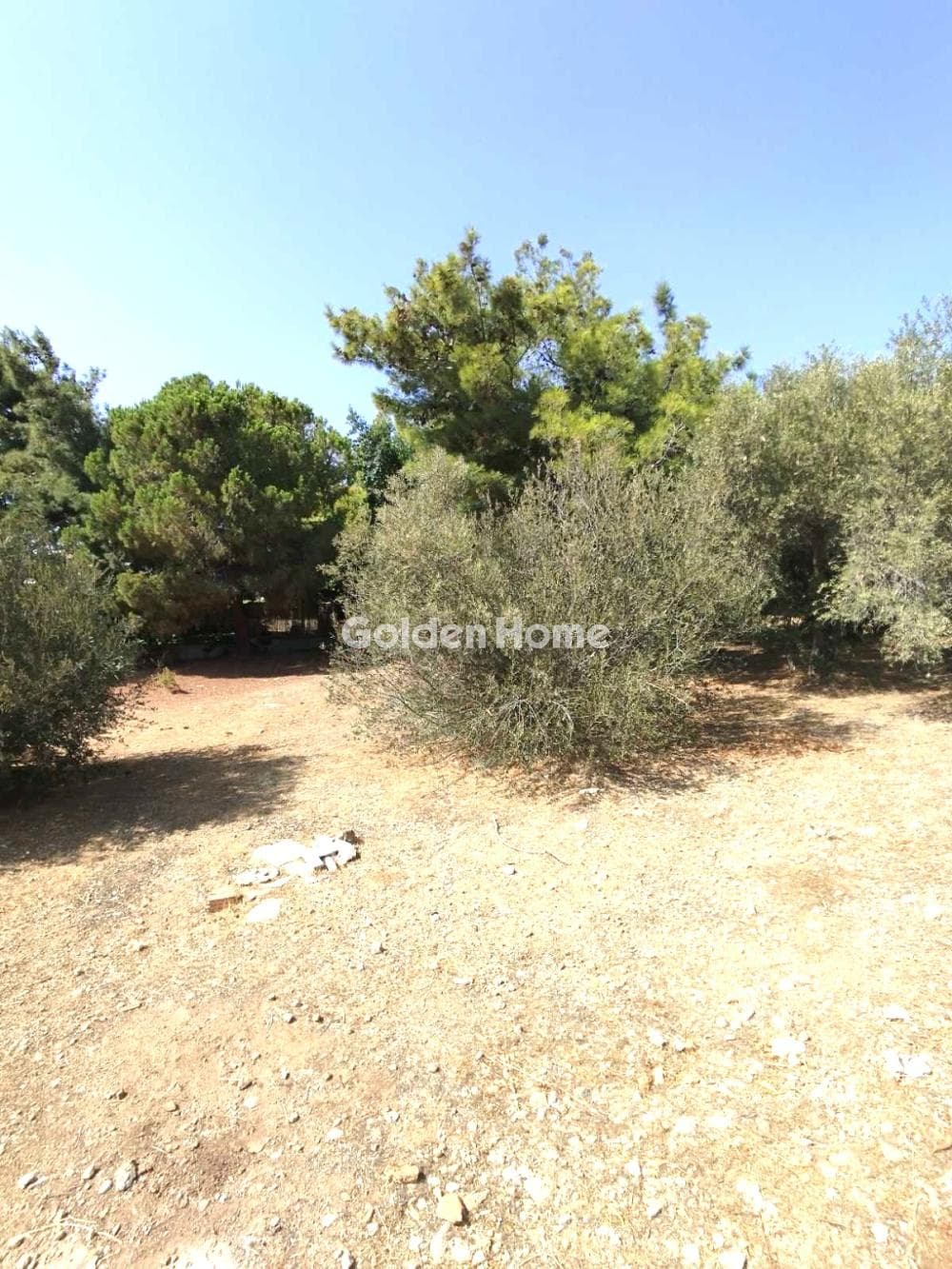 Οικόπεδο στην Σαρωνίδα, Σαρωνίδα — Φωτογραφία 1 από 2