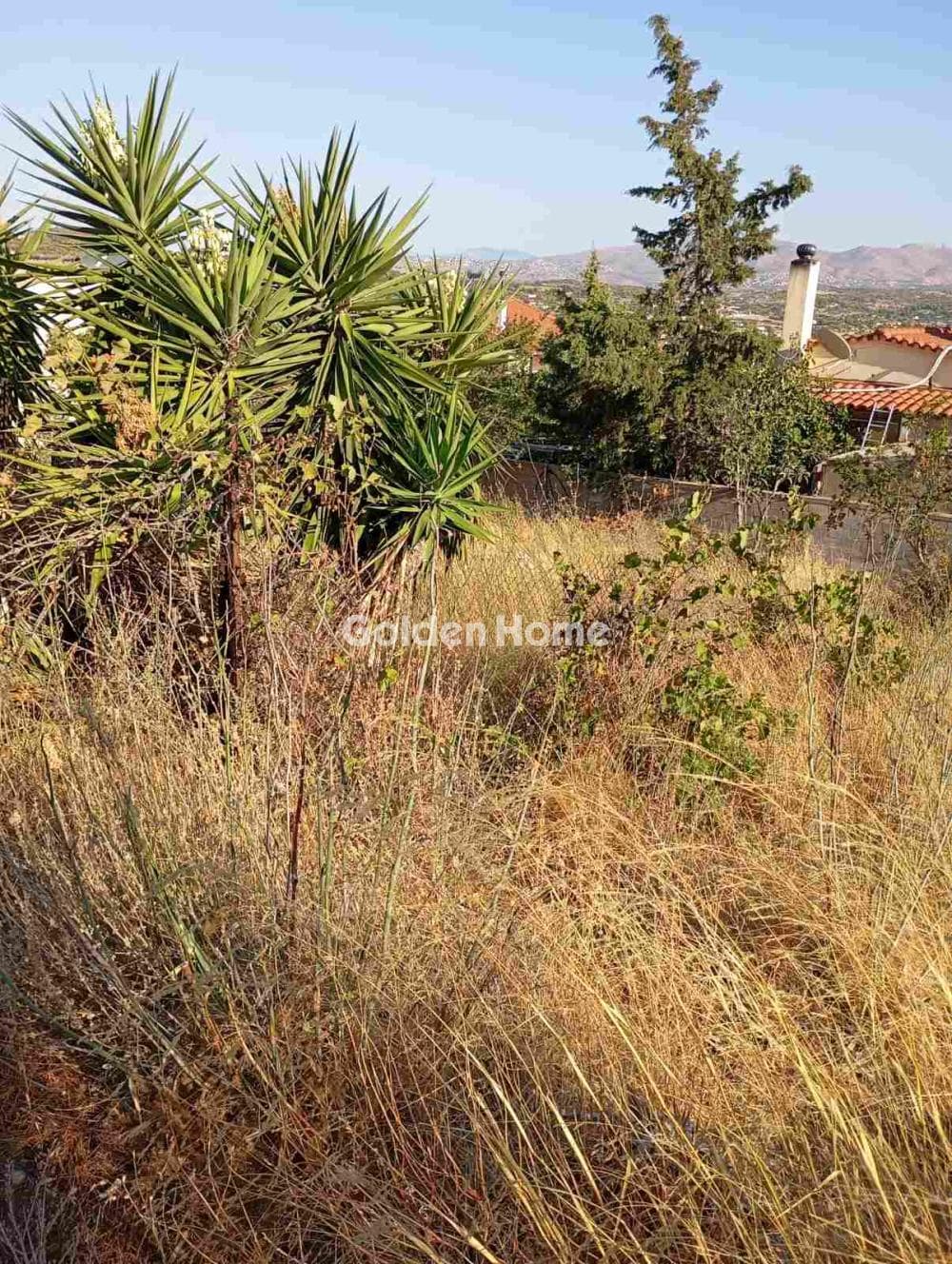 Οικόπεδο στην Βορινέζα, Αρτέμιδα (Λούτσα) — Φωτογραφία 1 από 4