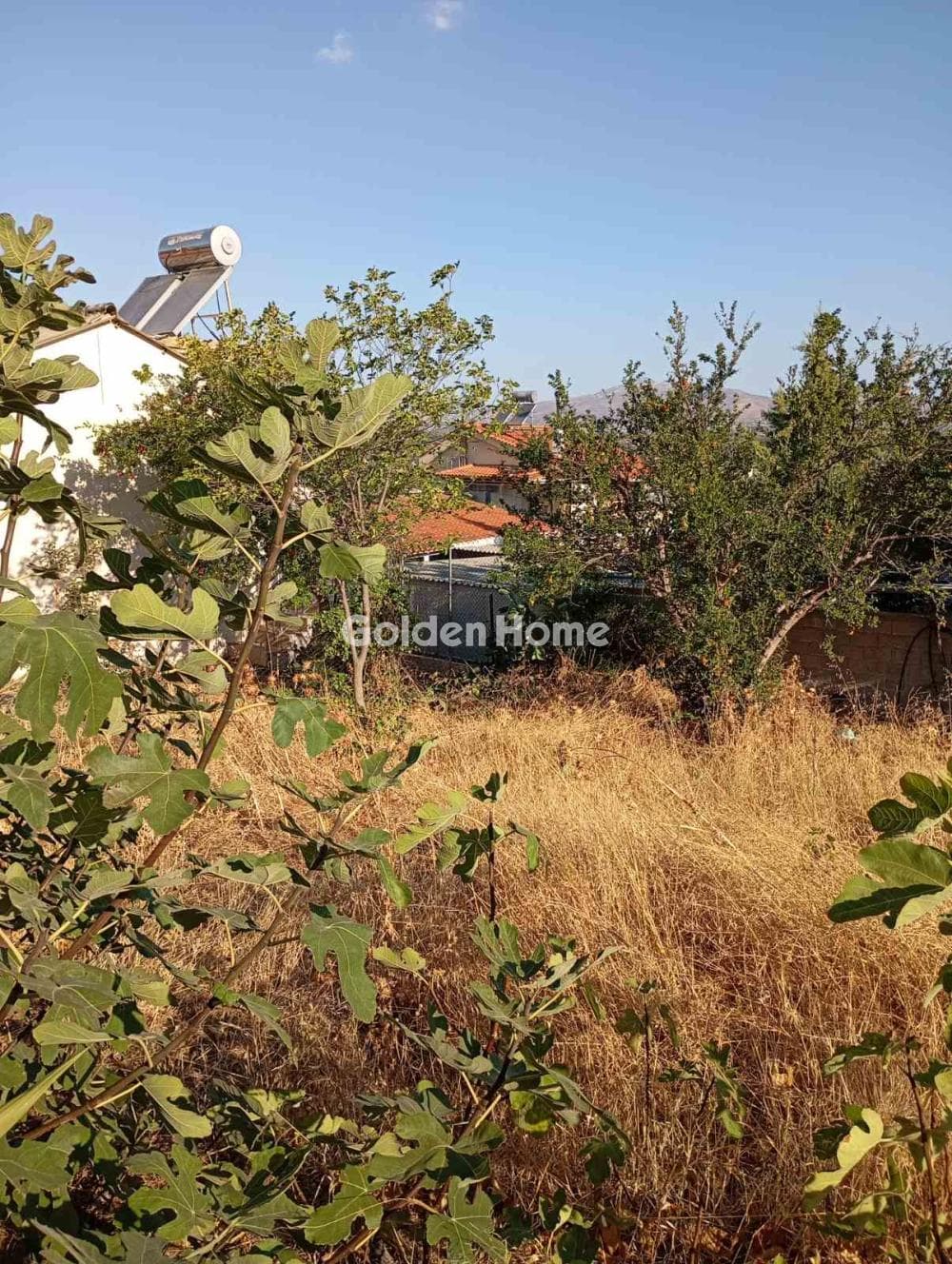 Οικόπεδο στην Βορινέζα, Αρτέμιδα (Λούτσα) — Φωτογραφία 2 από 4