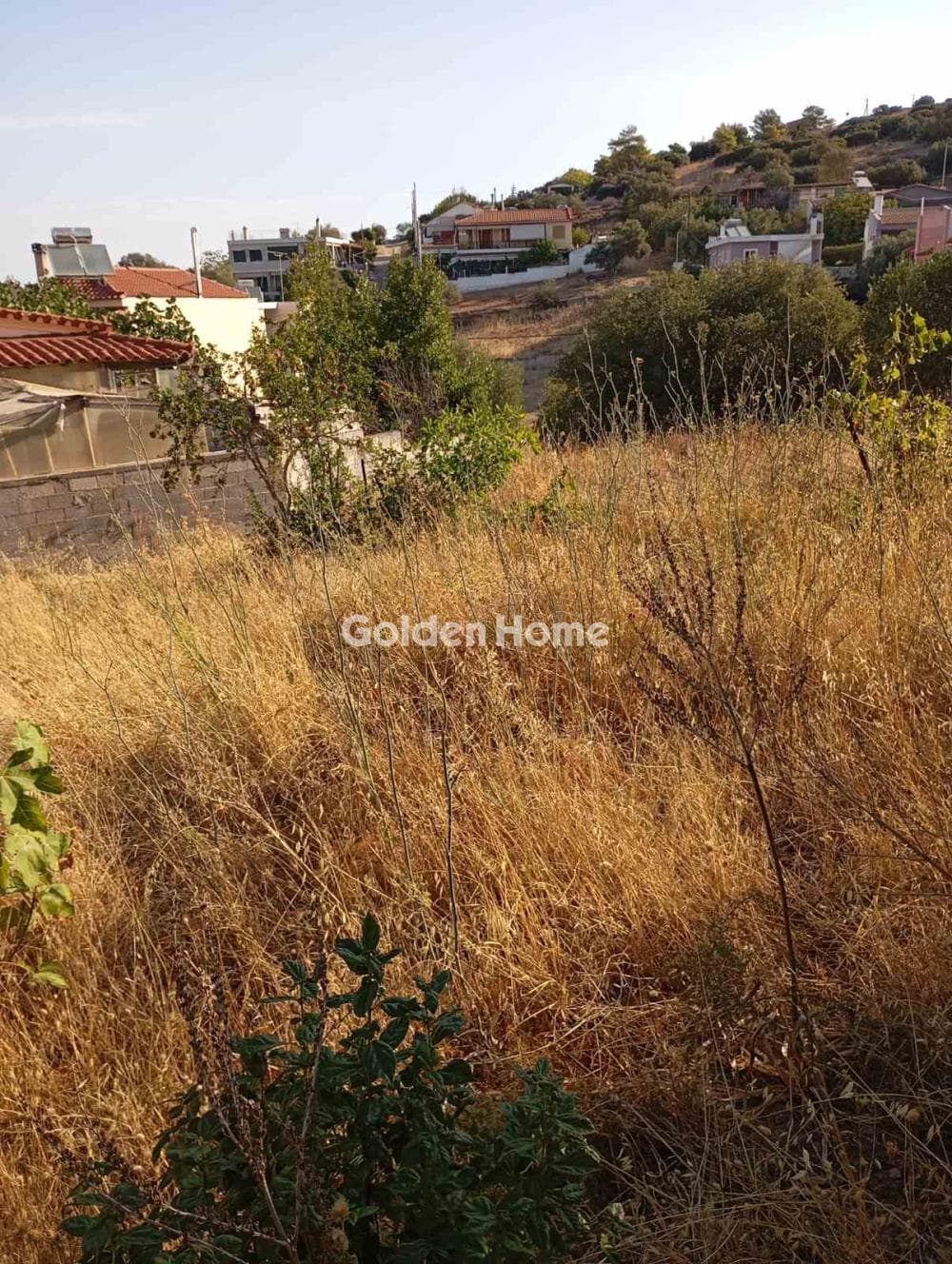 Οικόπεδο στην Βορινέζα, Αρτέμιδα (Λούτσα) — Φωτογραφία 4 από 4