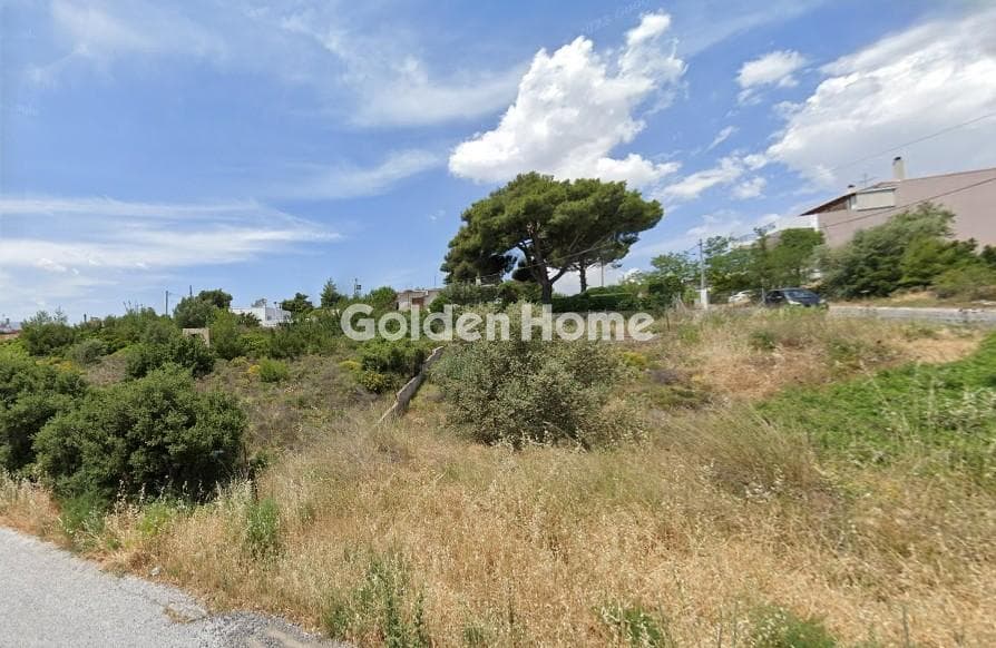Οικόπεδο στην Ανθούσα, Ανθούσα