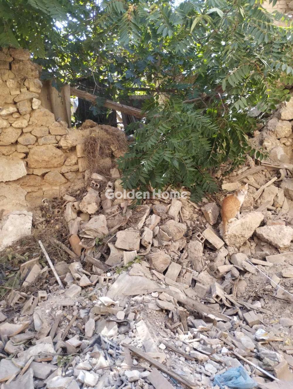 Οικόπεδο στην Βοτανικός, Κέντρο — Φωτογραφία 5 από 9