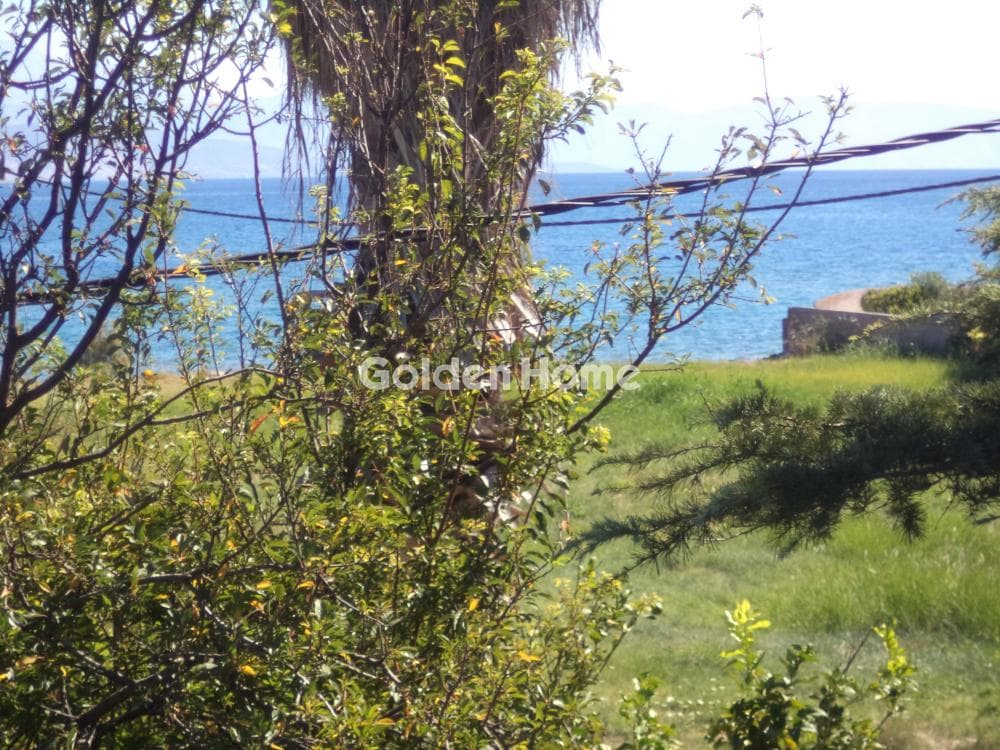 Μονοκατοικία στην Διγελιώτικα, Αίγιο — Φωτογραφία 23 από 27